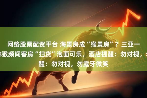 网络股票配资平台 海景房成“猴景房”？三亚一酒店野生猕猴频闯客房“扫货”泡面可乐，酒店提醒：勿对视，勿露牙微笑